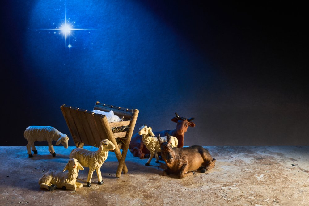 Natal é tempo de lembrarmos o nascimento do nosso Salvador Jesus
