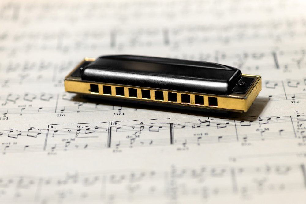 Gaita encima de partitura