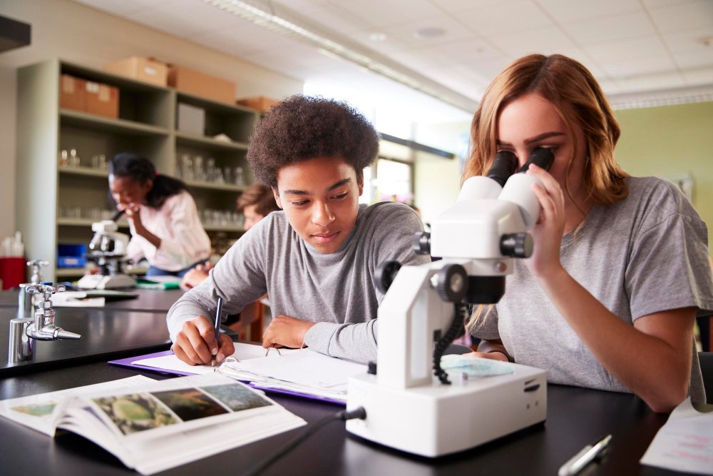 Estudantes analisando no microscópio para entender o sistema nervoso periférico